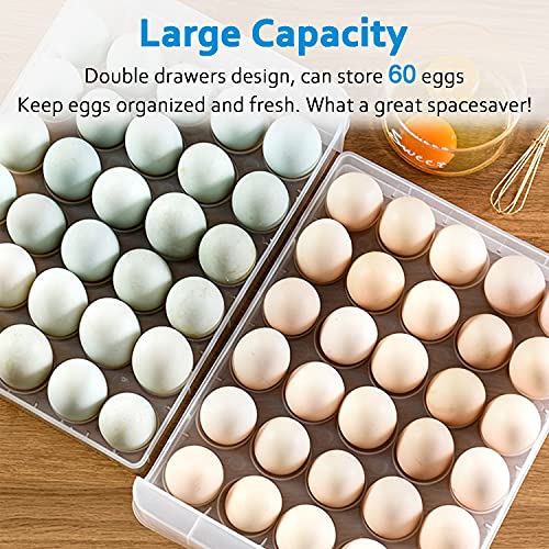 60 Grid Eggs Storage Container for Refrigerator