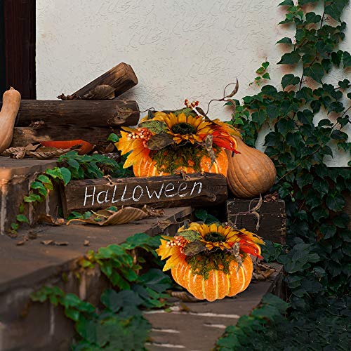 Thanksgiving Decorations Pumpkin with Plastic Succulents