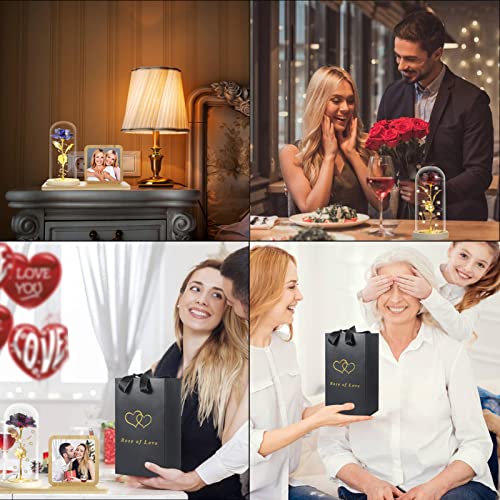 Rose Flower in Glass Dome & Photo Frame for Valentines/Anniversary Gift