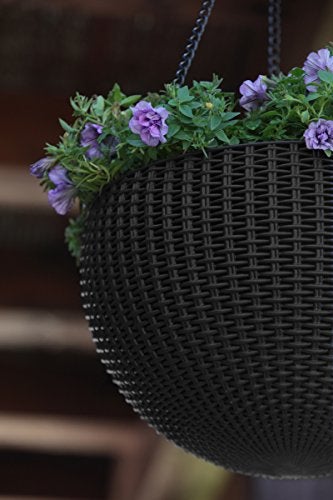 Rattan Set of 2 Round Hanging Planter Baskets for Plants