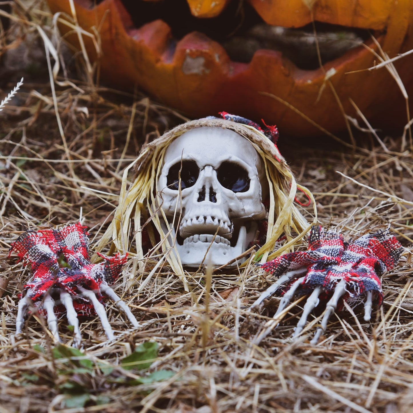 6 Pcs Halloween Skeleton Stakes Outdoor Decorations