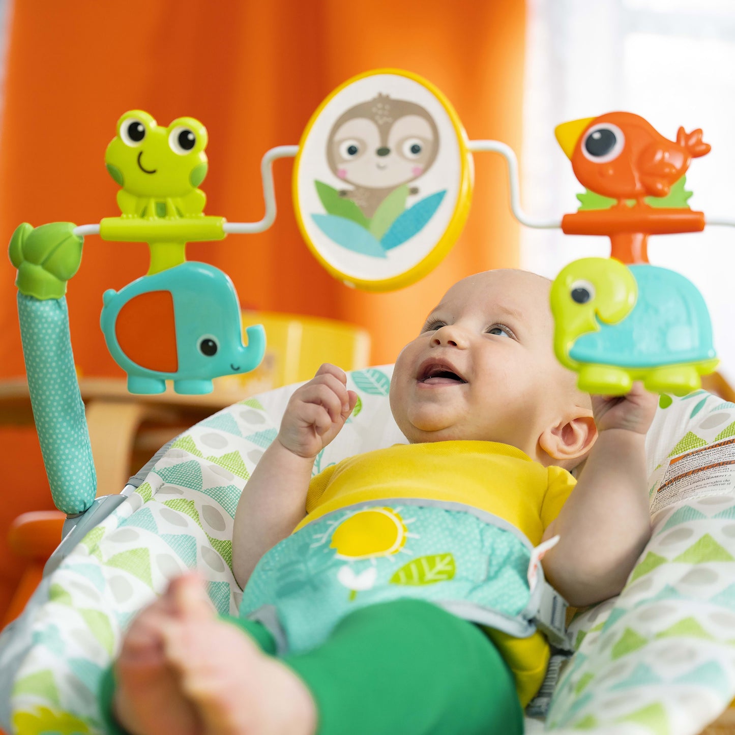 Portable Baby Bouncer with Vibrating Infant Seat, 0-6 Months (Unisex)