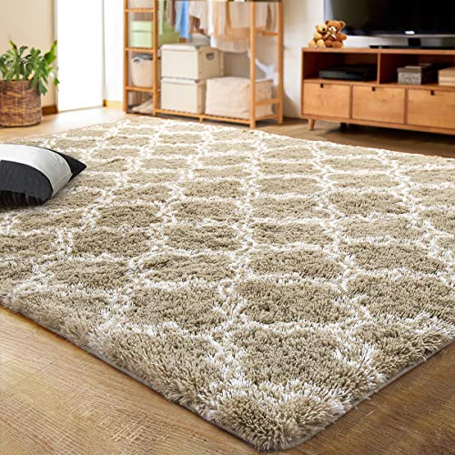 Luxury Indoor Plush Fluffy Rug Extra Soft and Comfy Carpet