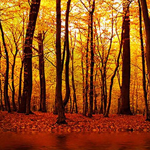 Autumn Yellow Forest Tapestry