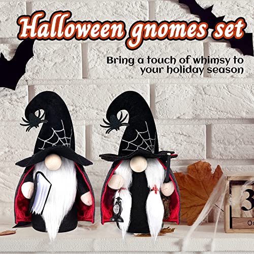 2 Pack Handmade Tomte Witch Halloween Gnomes Decorations