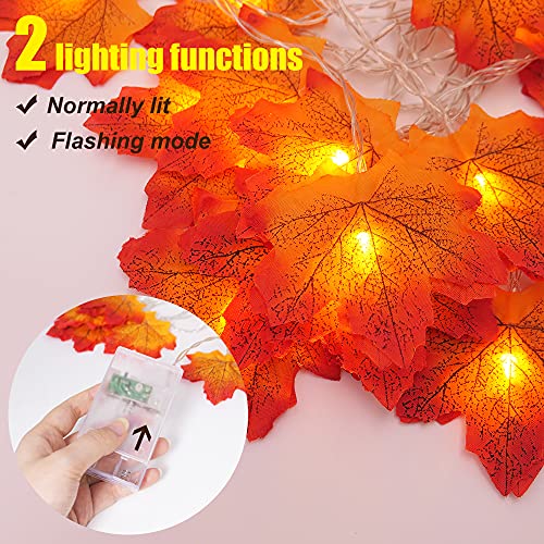 2 Pack 10Ft 20 Led Fall Maple Leaves Fall Lights Battery Operated, Lights String, Fall Thanksgiving Decoration