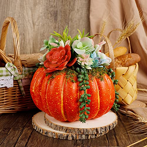 Thanksgiving Decorations Pumpkin with Plastic Succulents