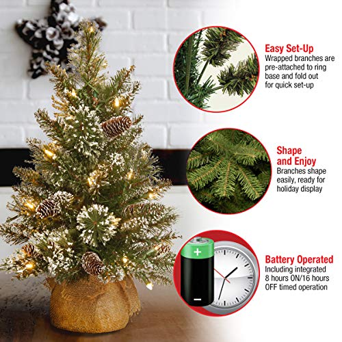 2 Ft Pre-lit Artificial Mini Christmas Tree