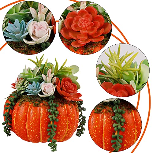 Thanksgiving Decorations Pumpkin with Plastic Succulents