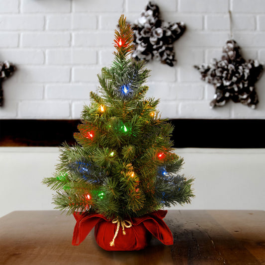 2' Multi-color Prelit LED Green Spruce Christmas Tree