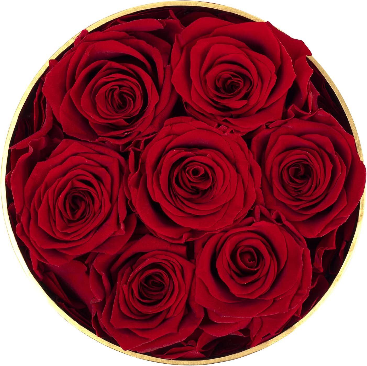 Preserved Real Roses w/ Heart Necklace, Valentines Day Gifts for Her, Forever Rose (Red)