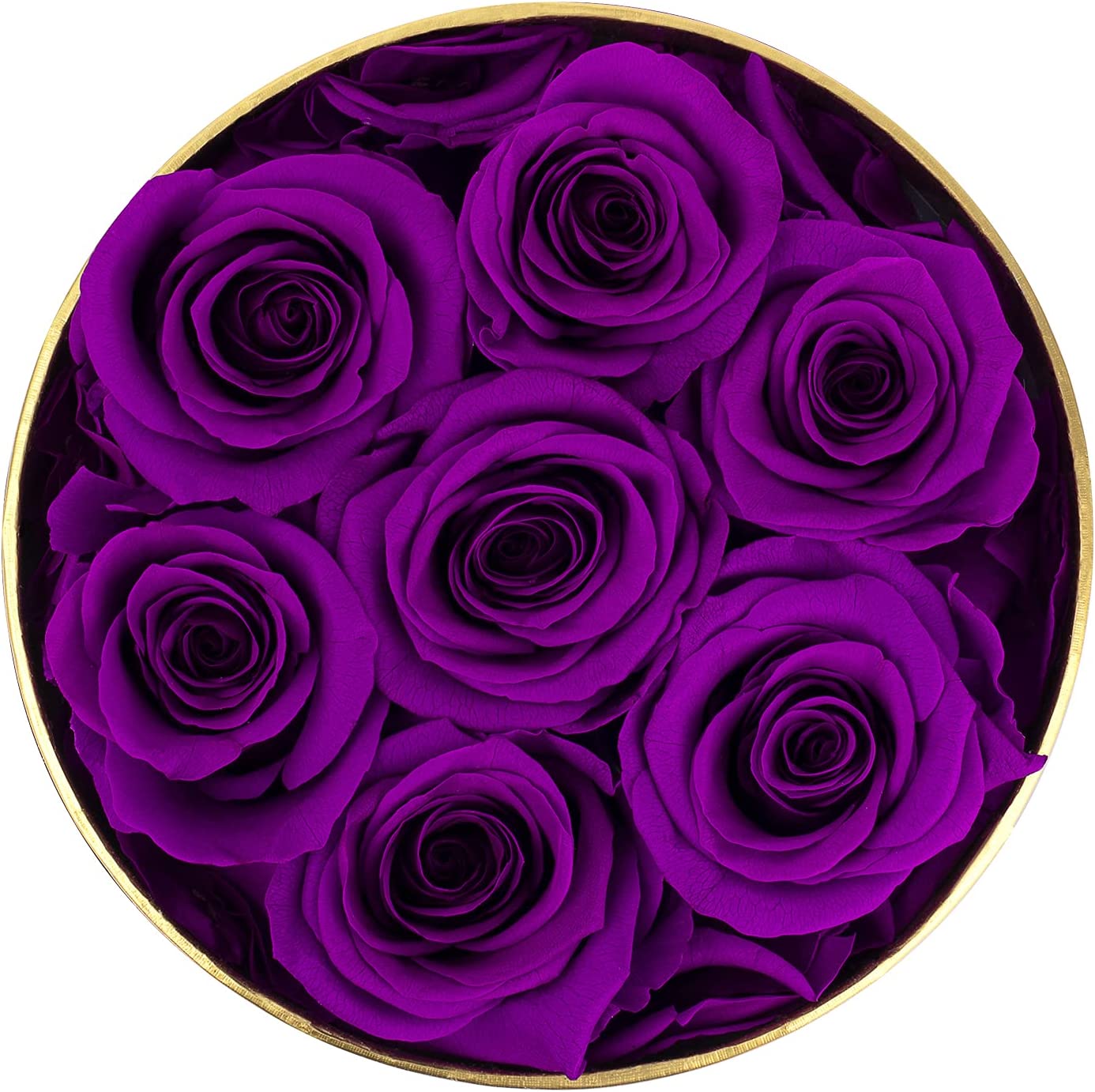 Preserved Real Roses w/ Heart Necklace, Valentines Day Gifts for Her, Forever Rose (Purple)
