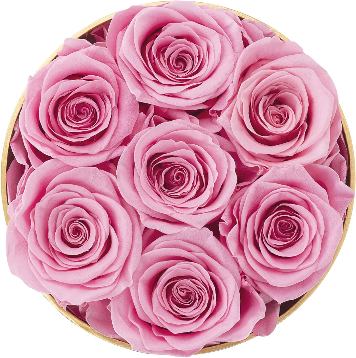 Preserved Real Roses w/ Heart Necklace, Valentines Day Gifts for Her, Forever Rose (Sweet Pink)