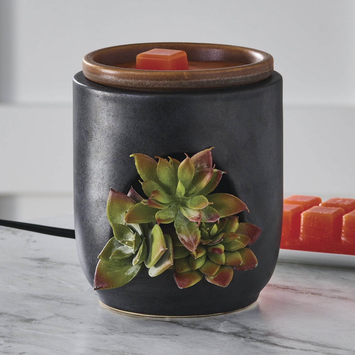 Full Size Fragrance Warmer, Succulent