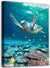 Ocean Canvas Wall Art Sea Turtle Coral Theme Painting Artwork Ready to Hang 12"x16"