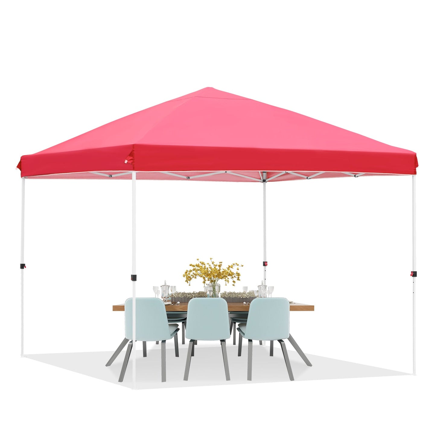 10' x 10' Pop up Canopy