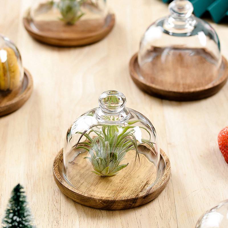 Clear Glass Dessert & Cheese Cloche Dome w/ Acacia Wood Serving Tray