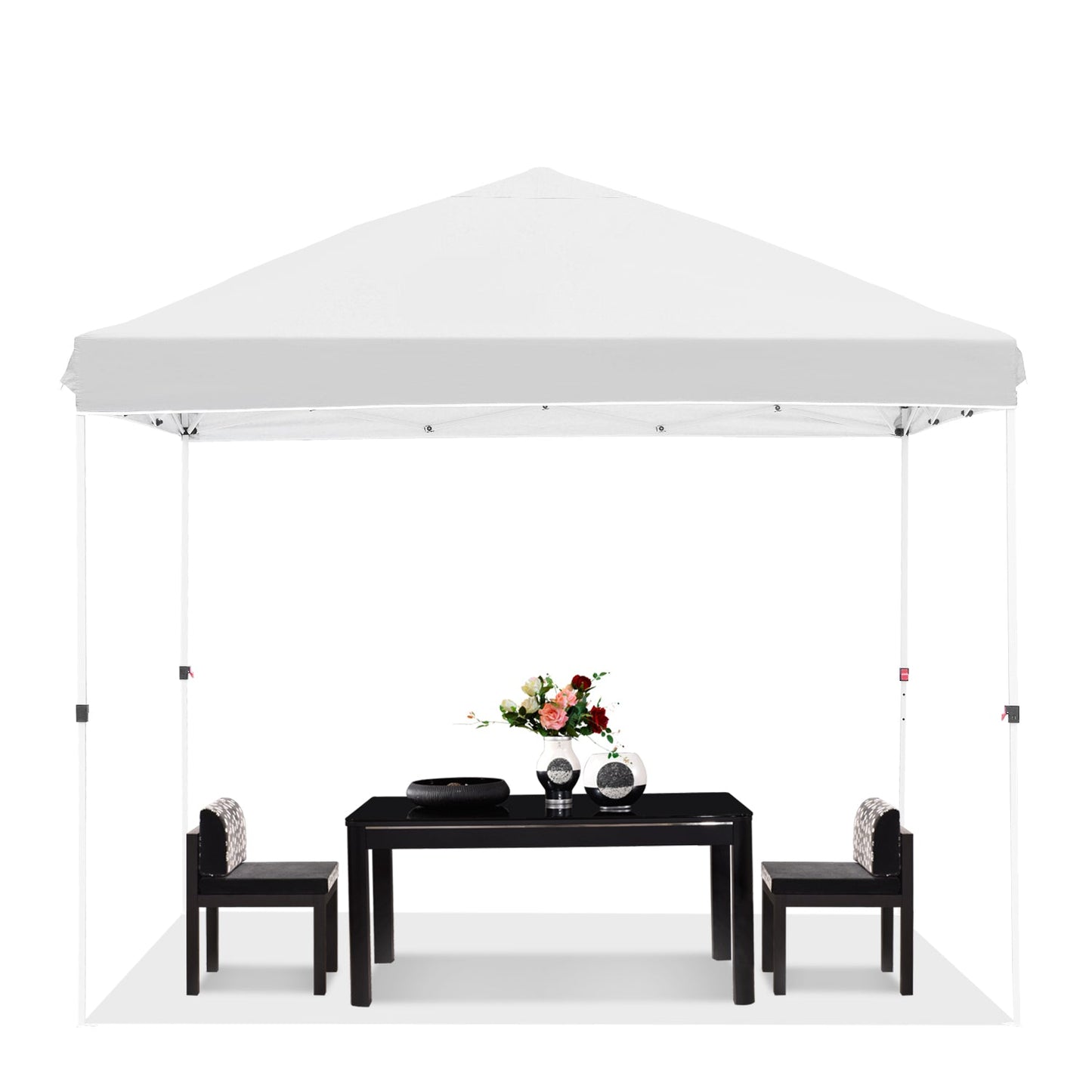 10' x 10' Pop up Canopy