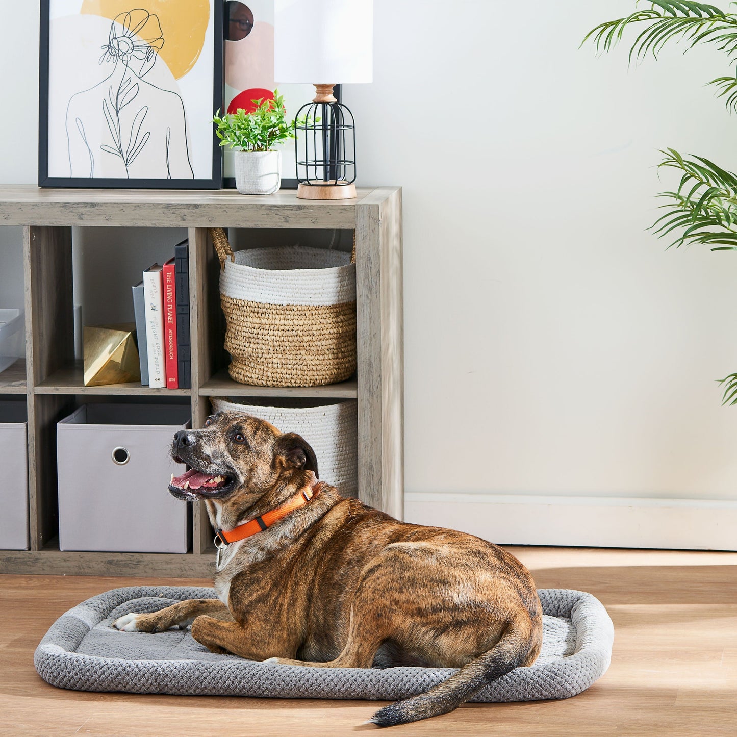 Soft Crate Mat- Pet Bed
