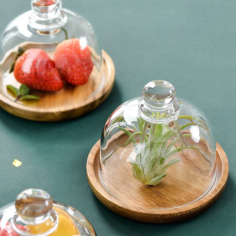 Clear Glass Dessert & Cheese Cloche Dome w/ Acacia Wood Serving Tray