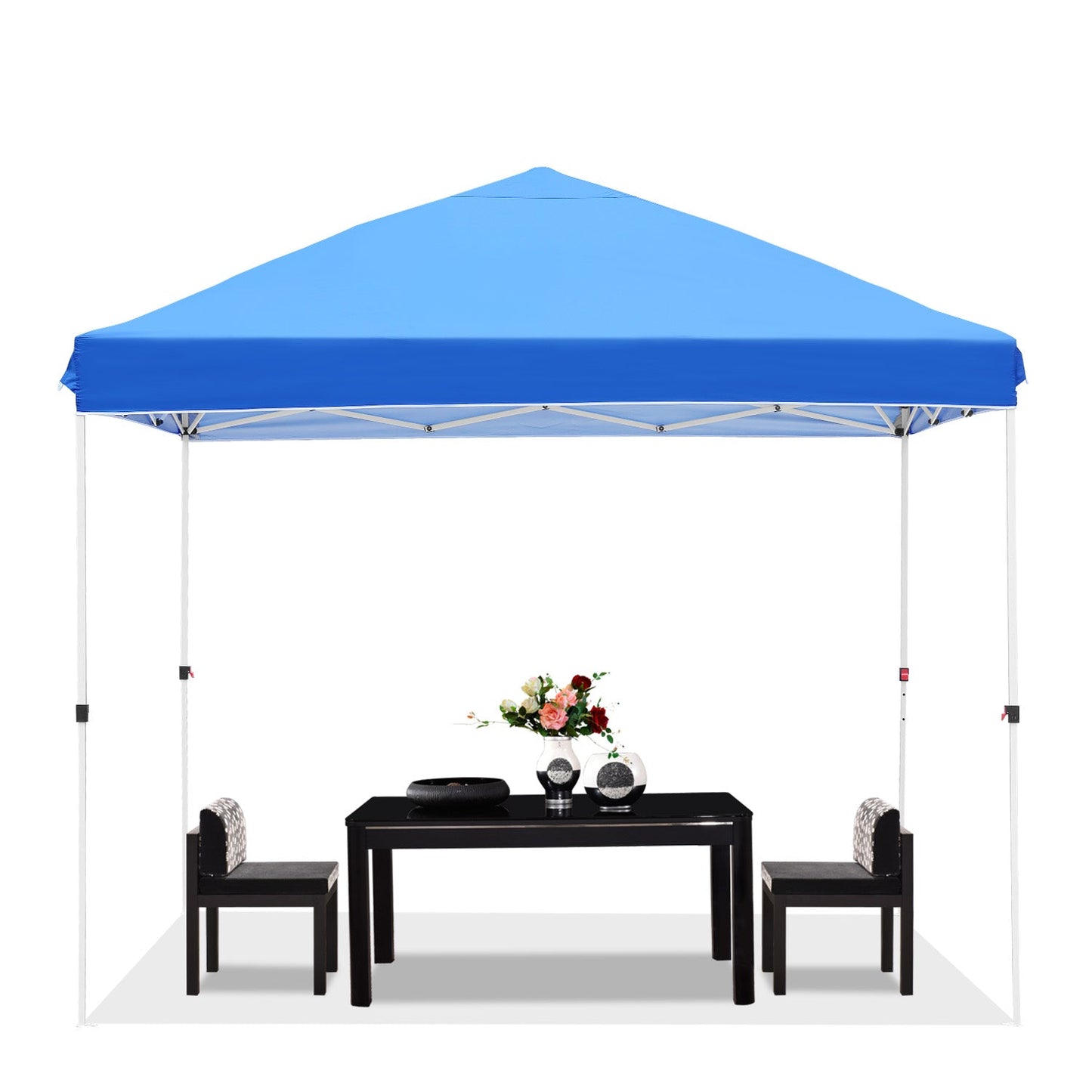 10' x 10' Pop up Canopy