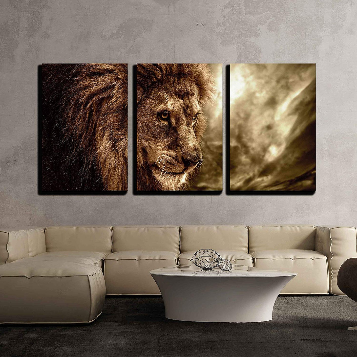 3 Piece Canvas Wall Art -Lion Against Stormy Sky- Stretched & Framed