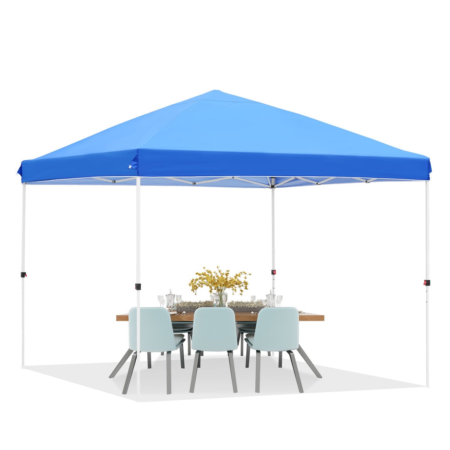 10' x 10' Pop up Canopy