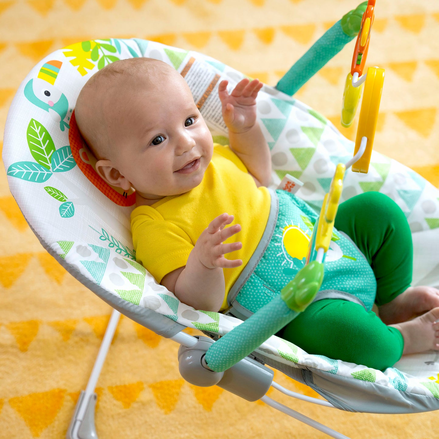 Portable Baby Bouncer with Vibrating Infant Seat, 0-6 Months (Unisex)