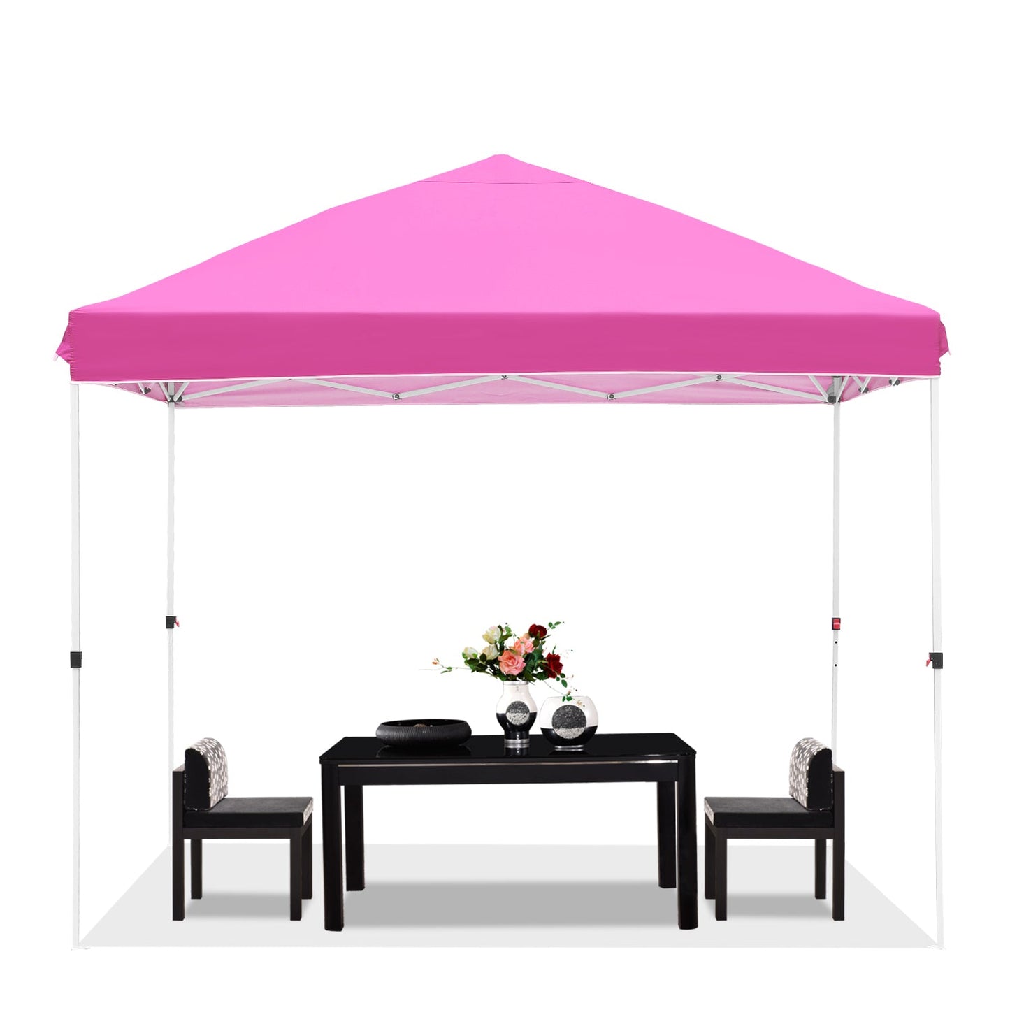 10' x 10' Pop up Canopy