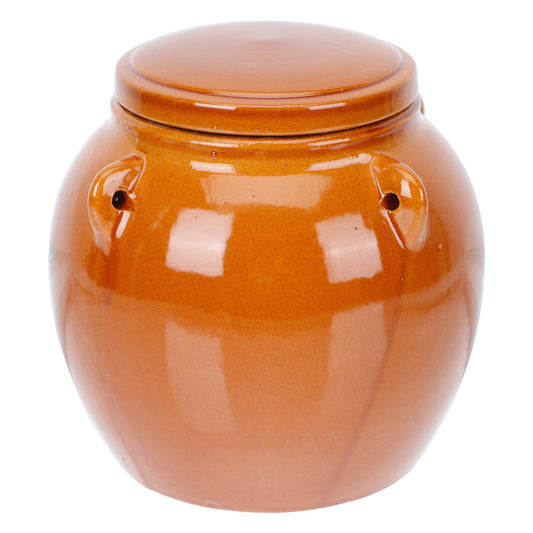 1Pc Ceramic Pickle Jar Dried Food Storage Tank w/ Lid