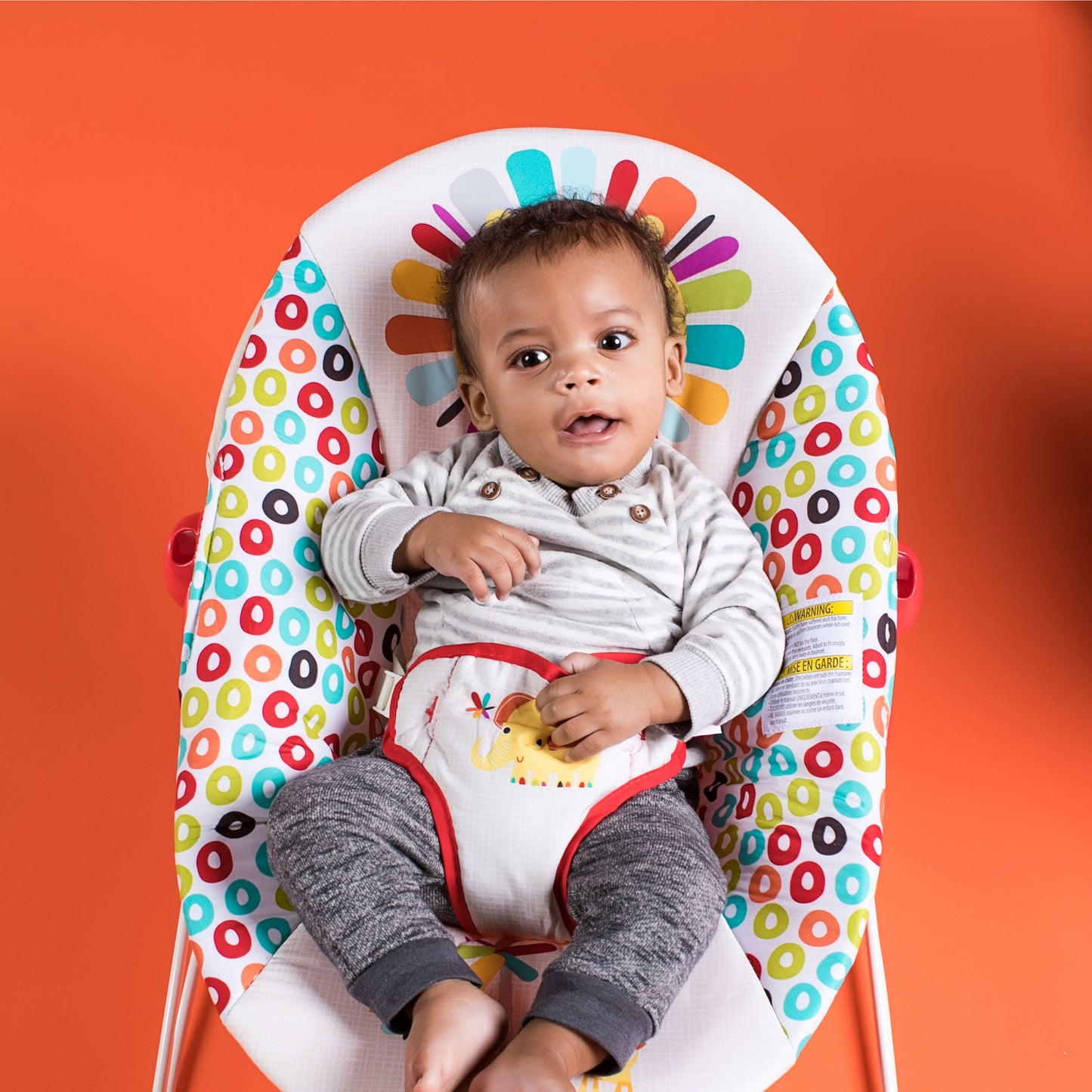 Portable Baby Bouncer with Vibrating Infant Seat, 0-6 Months (Unisex)