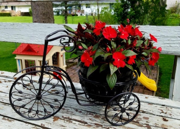 Vintage Style Plant Holder, Bicycle Flower Pot Cart Holder - Ideal for Home, Garden, Patio - Great Gift for Plant Lovers, Mother, Grandma