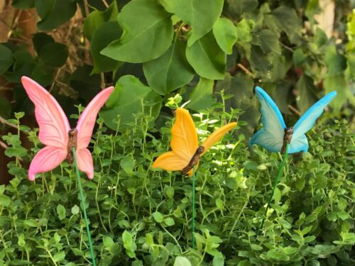 Miniature Dollhouse FAIRY GARDEN