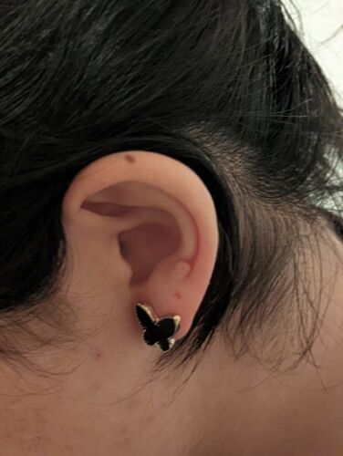 Fashion Earrings Jewelry Delicate Elegant Temperament Black Butterfly Cute