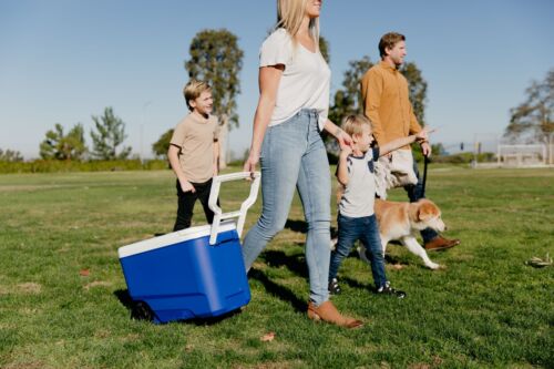 38 qt. Ice Chest Cooler with Wheels, Blue