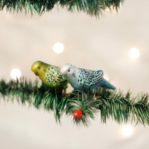 Christmas Miniature Parakeet Glass Blown Ornament, Assorted (2 Pack)