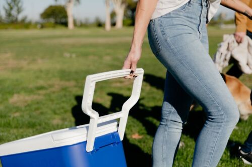 38 qt. Ice Chest Cooler with Wheels, Blue