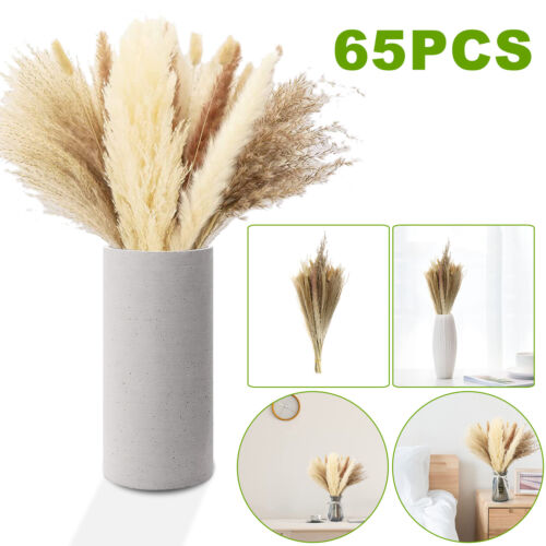 65x Natural Dried Pampas Grass Reed Flower Phragmite Bunch Bouquet Wedding Decor