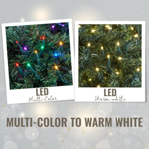 200 LED Light Set with Functions Color Change Warm White to Multi-color